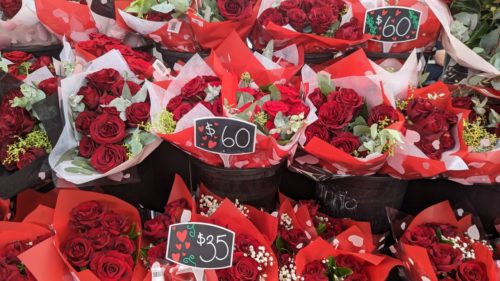 Bunches of roses for sale for Valentine's Day