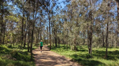 Person walking on a path looking up at the trees and blue sky