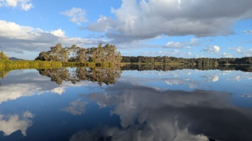 Tree, sky and cloud reflections on water