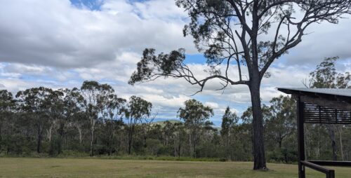 Lookout overlooking trees