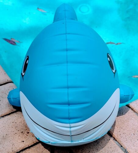 Inflatable pool dolphin