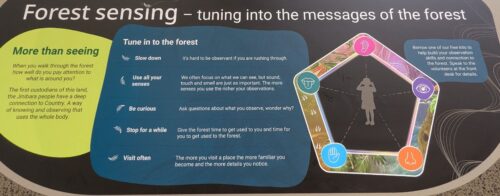A panel explaining forest sensing