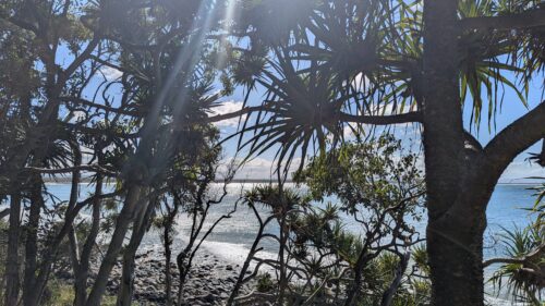 Glimpses of the sea through trees