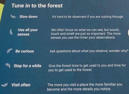 Sign explaining how to tune in to the forest